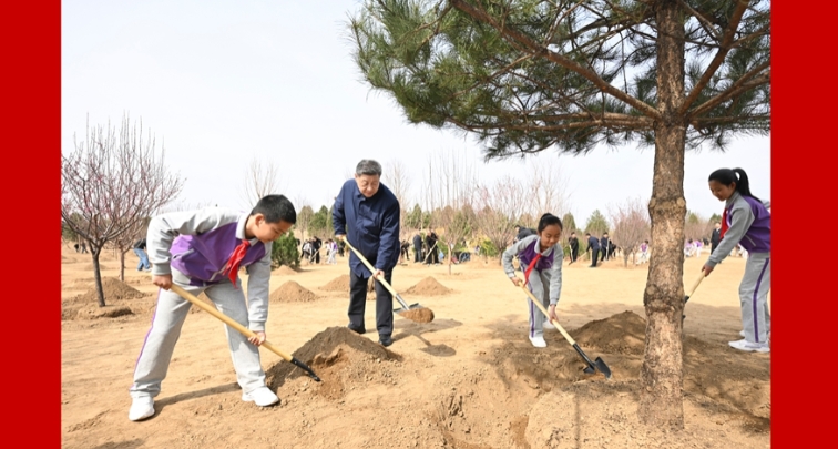شي يحث على حشد المجتمع بأكمله في جهود غرس الأشجار